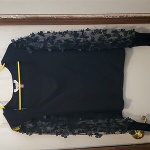 Black Pullover Top with Sheer Sleeves